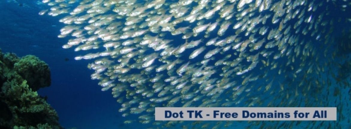 Wyspa Tokelau rozdaje domeny www za darmo